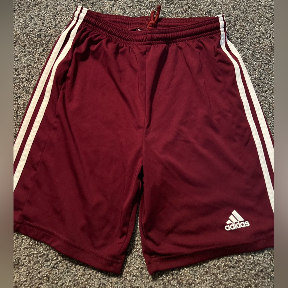 Adidas shorts (brand new)